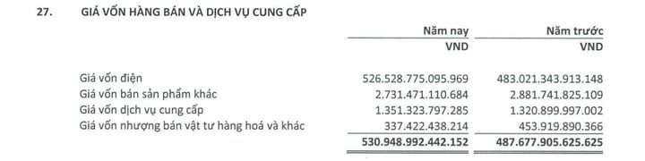 EVN cắt đứt mạch lỗ, báo lãi sau thuế hơn 8.200 tỷ đồng năm 2024 - 4