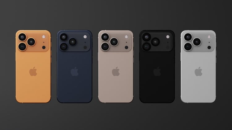 pro-8.png