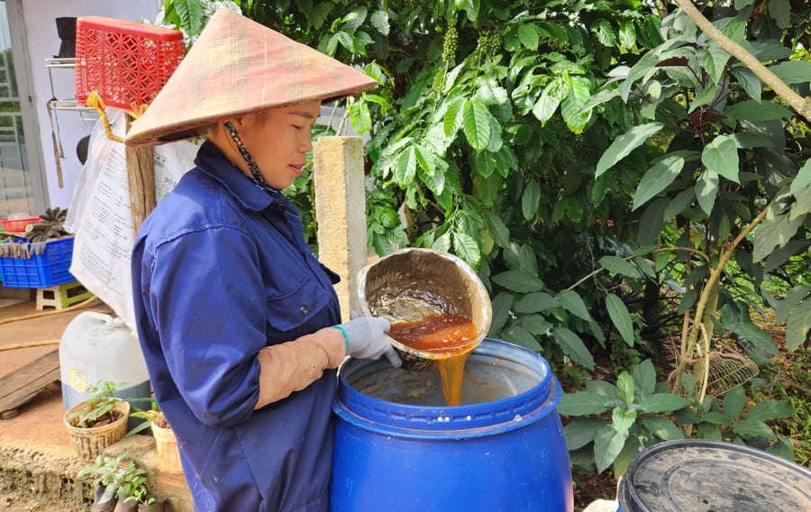ba-nguyen-thi-thao-thon-4-xa-ia-ko-u-che-pham-imo-de-bon-cho-vuon-ca-phe.jpg