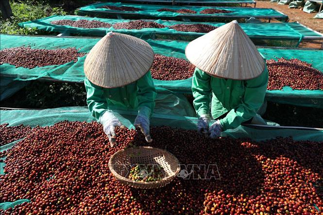 The Ministry of Industry and Trade provides specific instructions on the use of raw material purchase lists.