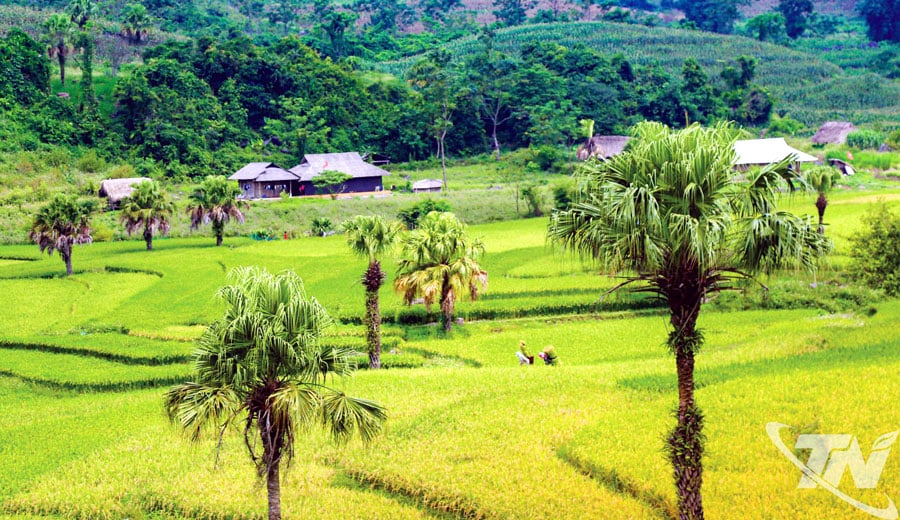 Bản Tèn xã Văn Lăng hứa hẹn là một điểm đến mới.
