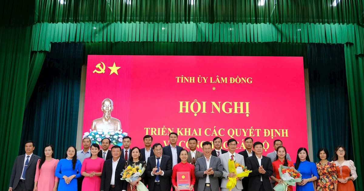 Arrange and innovate for Tan Ha Lam Ha to move forward steadily