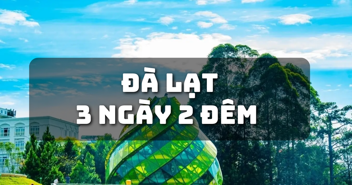 Thở cùng thông xanh, sống cùng khí hậu mát mẻ tại "Thành phố ngàn hoa"