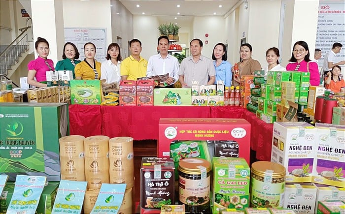 Lào Cai: Thêm 62 sản phẩm OCOP được "gắn sao"- Ảnh 1.