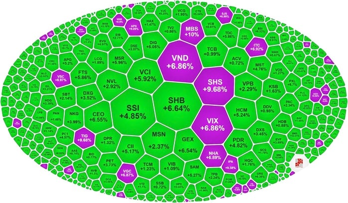Cổ phiếu tím lịm, VN-Index lập đỉnh 25 năm thị trường chứng khoán Việt Nam - Ảnh 2.