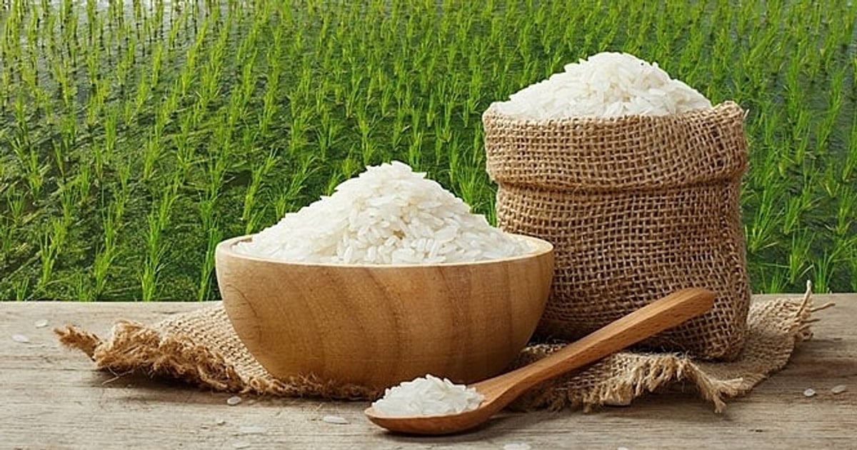 Giá lúa gạo hôm nay 28/7: Thị trường ổn định, giao dịch trầm lắng