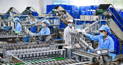 Establishment of the Management Board of Ho Chi Minh City Export Processing and Industrial Zones