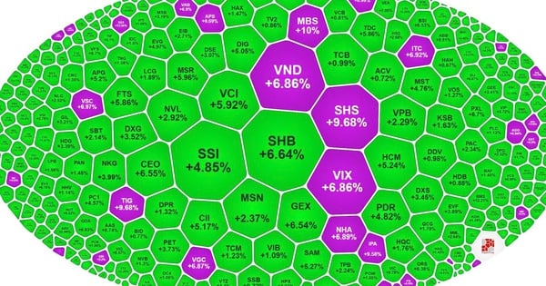 Cổ phiếu tím lịm, VN-Index lập đỉnh 25 năm thị trường chứng khoán Việt Nam