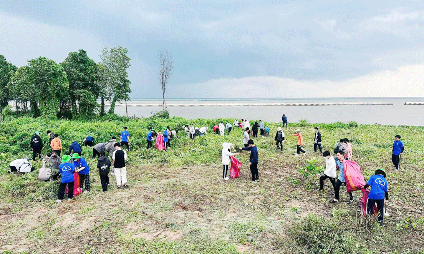 Tham gia vệ sinh đê biển