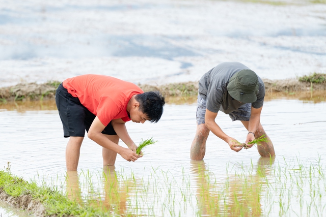 Nghệ sĩ Trung Ruồi, Duy Hưng, Hoàng Trung, Neko lần đầu cày cấy, mò cua bắt ốc- Ảnh 3.