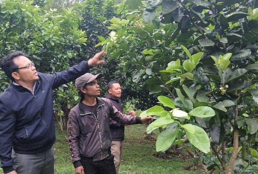 cam-vinh.jpg