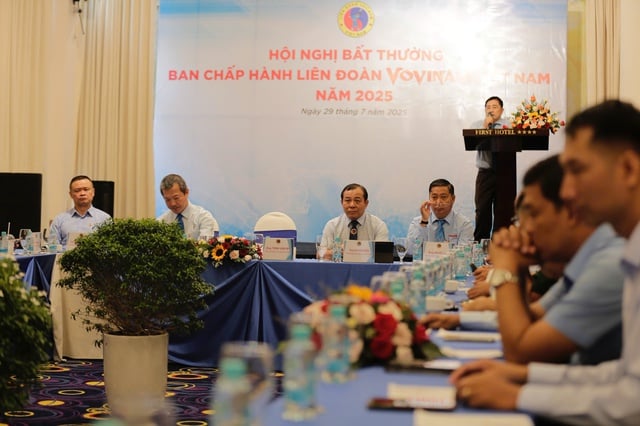 Doanh nhân Mai Hữu Tín thôi giữ chức Chủ tịch Liên đoàn Vovinam Việt Nam - Ảnh 3.