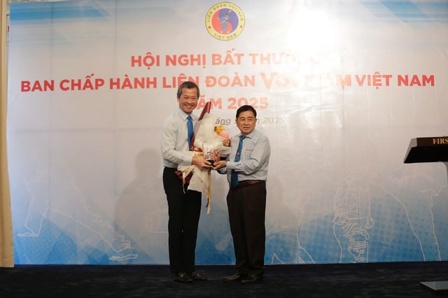 Doanh nhân Mai Hữu Tín thôi giữ chức Chủ tịch Liên đoàn Vovinam Việt Nam - Ảnh 1.