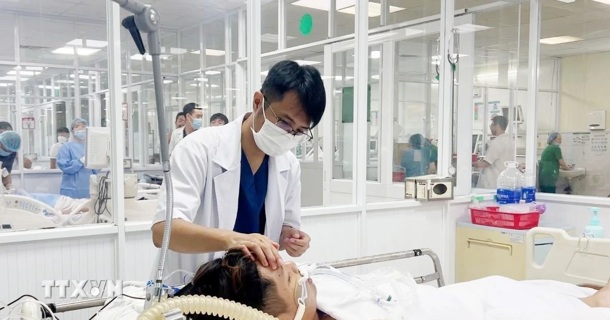 Thành phố Hồ Chí Minh: Cảnh báo số ca sốt xuất huyết tăng mạnh