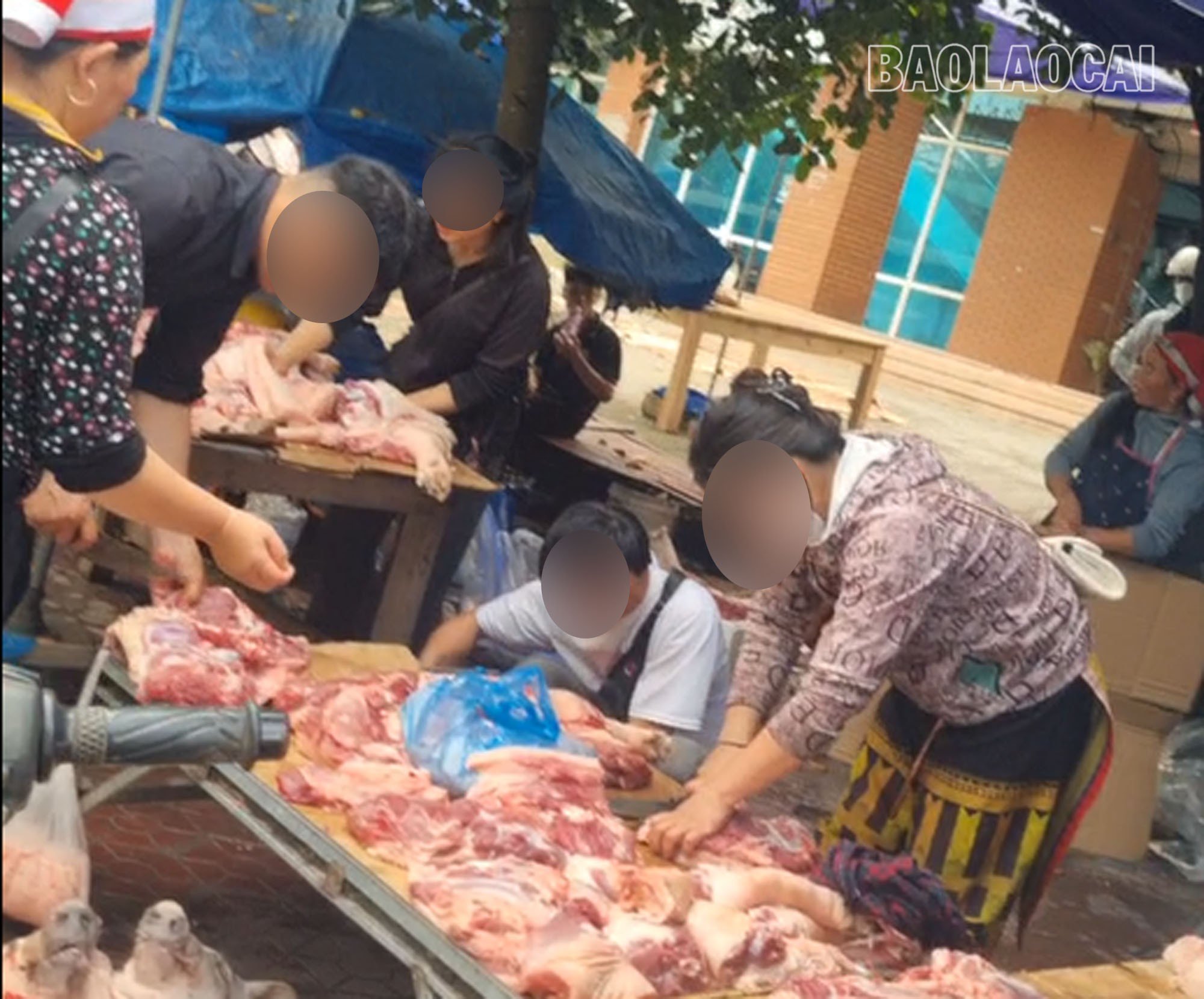 Mỗi cá nhân, mỗi tổ chức cần nhận thức rõ trách nhiệm của mình để cùng chung tay hành động kiểm soát dịch bệnh trên đàn vật nuôi.