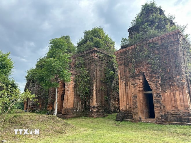 ttxvn-da-nang-thap-cham-2.jpg