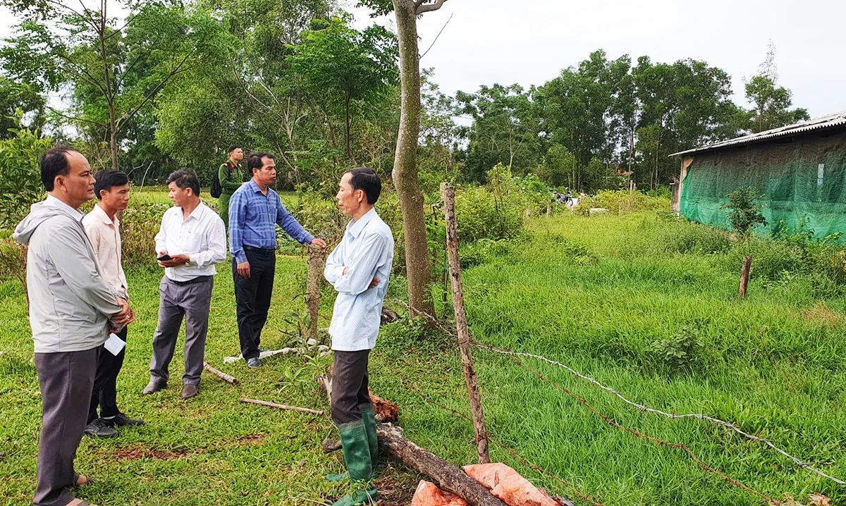 Xã Gio Việt: Kiểm tra tình hình chăn nuôi lợn trên địa bàn