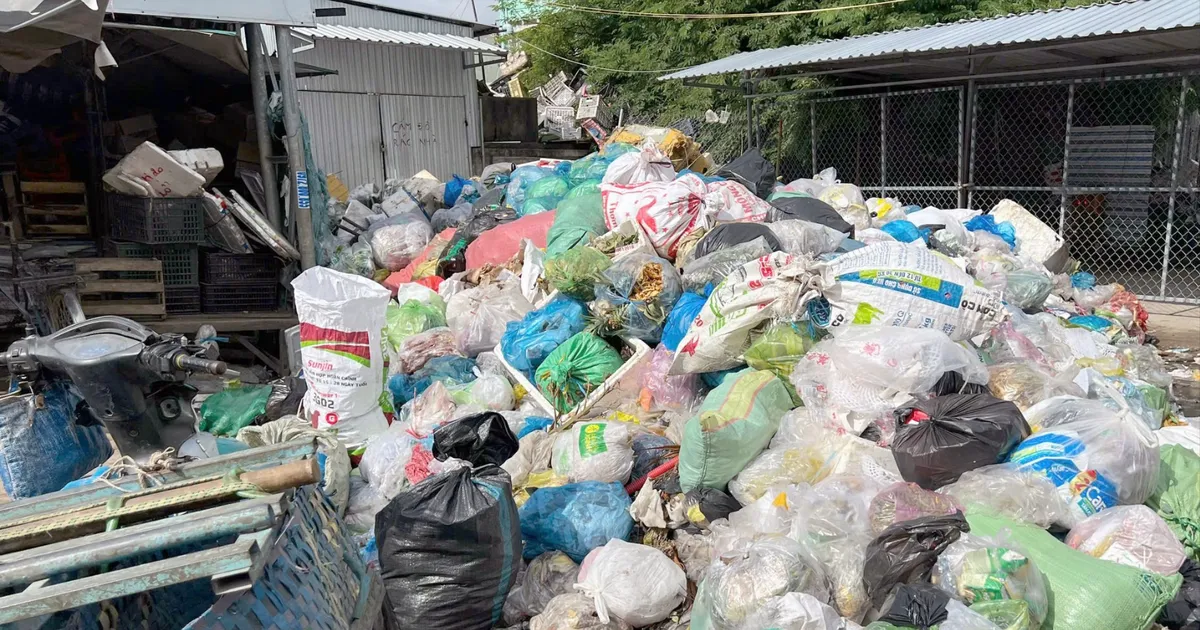 Vĩnh Long: Rác chất đống trên đường, chợ, công viên