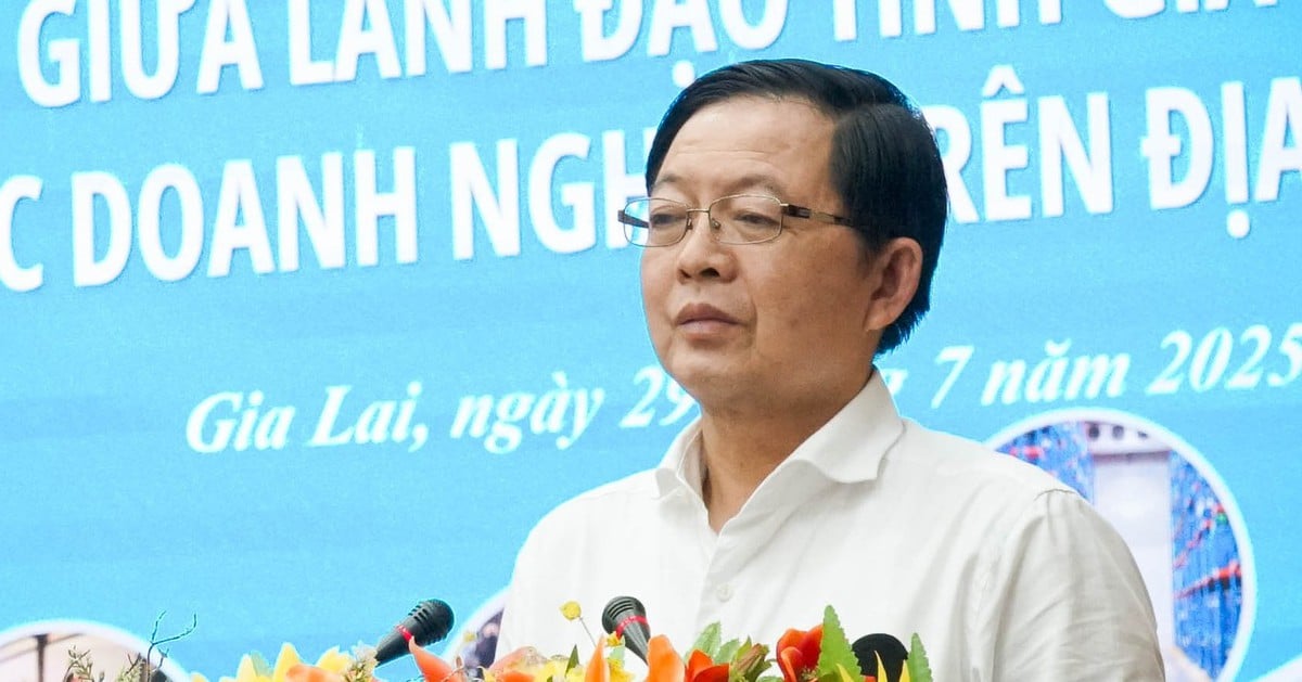 Minister Gia Lai hörte sich die Rückmeldungen der Unternehmen an und versprach, das Problem zu lösen, echte Arbeit zu leisten und echte Ergebnisse zu erzielen.