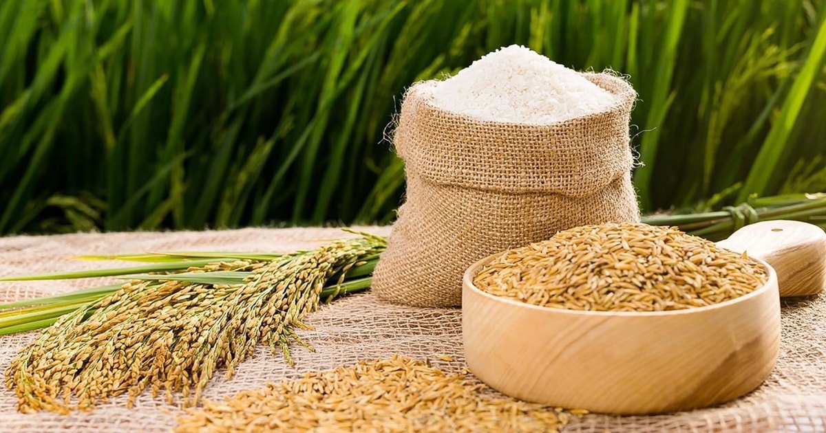 Giá lúa gạo hôm nay 29/7: Gạo nguyên liệu nhích nhẹ
