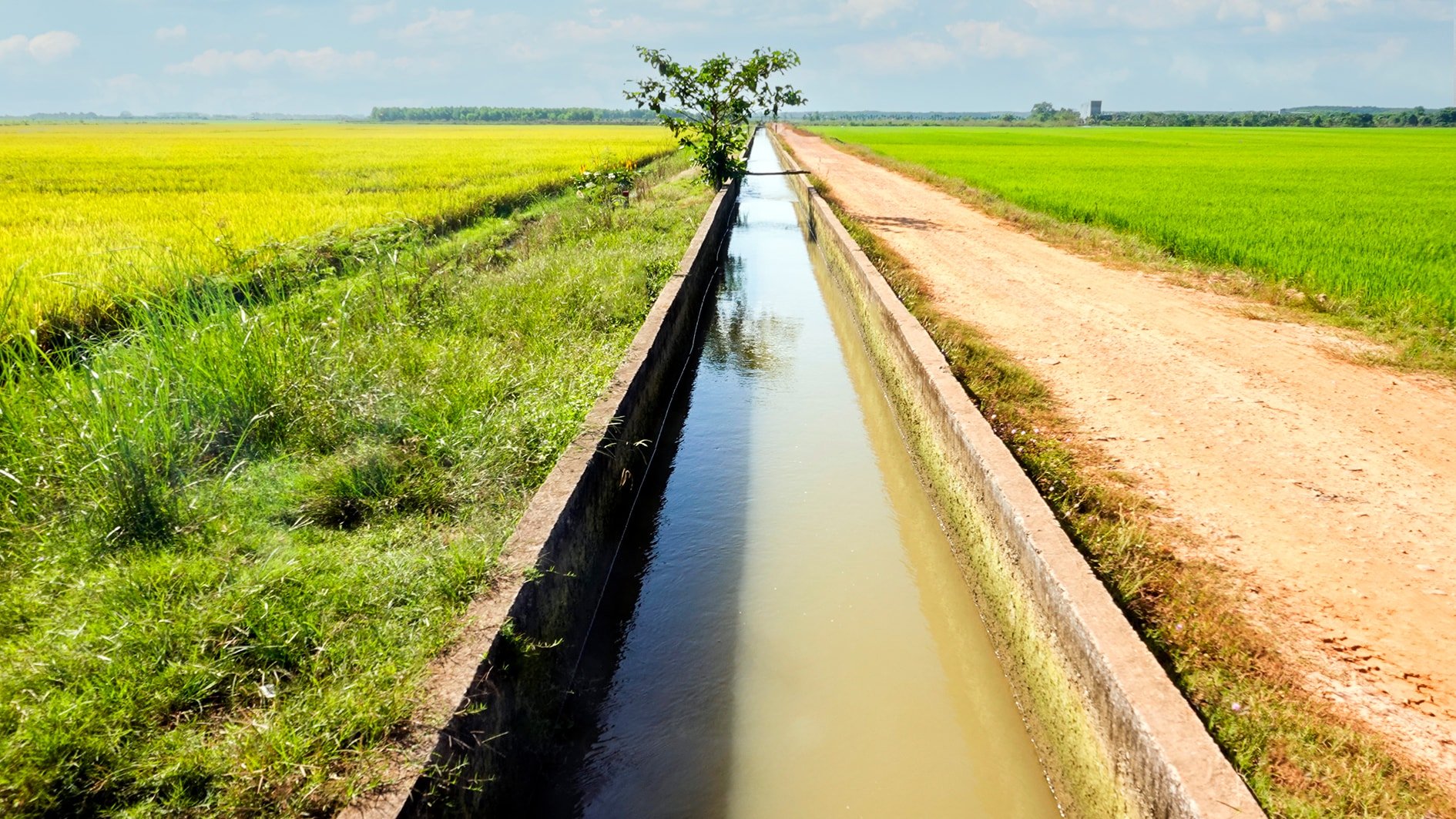 El sistema de canales intracampo en la comuna de Nam Thanh está sólidamente construido (foto de N. Lan)
