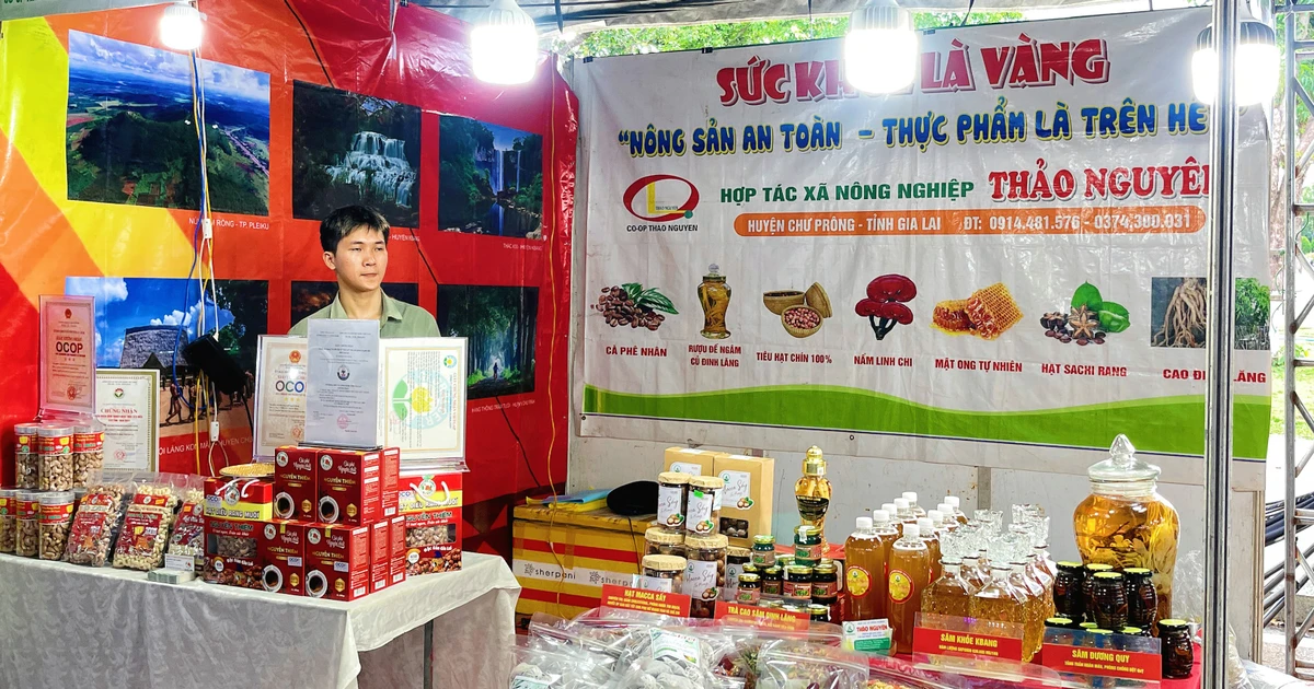 Gia Lai đổi mới hoạt động xúc tiến thương mại, kích cầu tiêu dùng