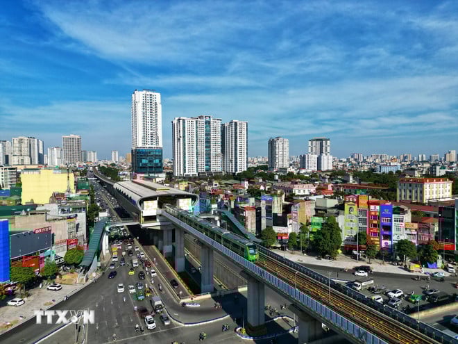 ttxvn-cat-linh-ha-dong-8808.jpg