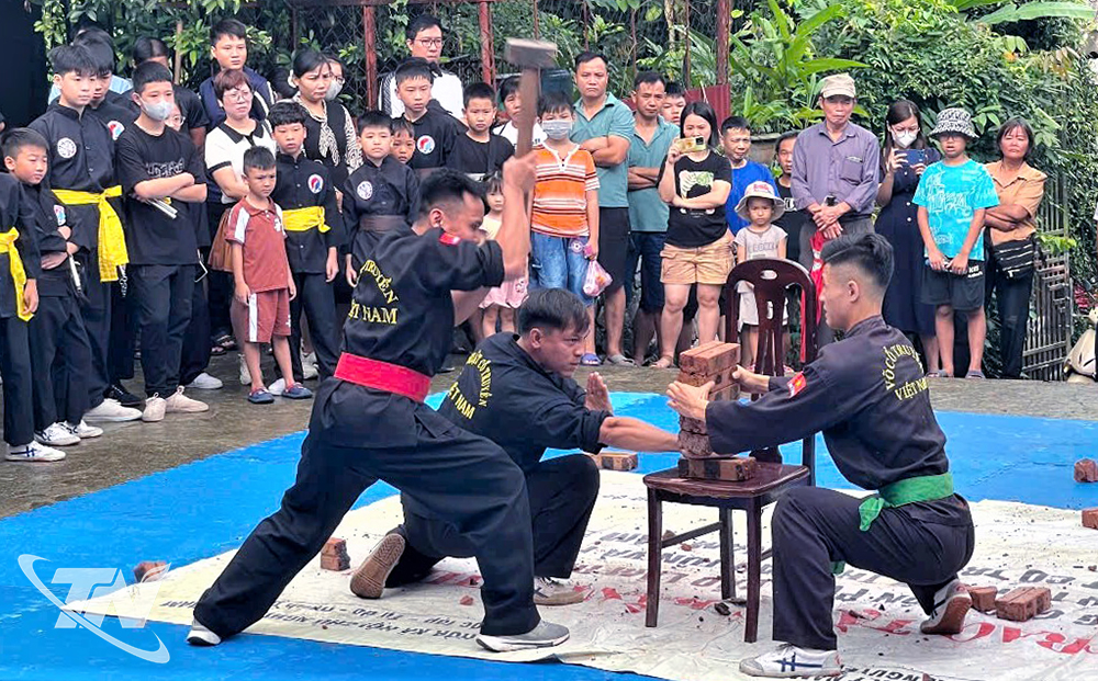 Trình diễn công phu của Y Võ Bảo Lâm Đường, phường Gia Sàng tạo ấn tượng mạnh với người xem.
