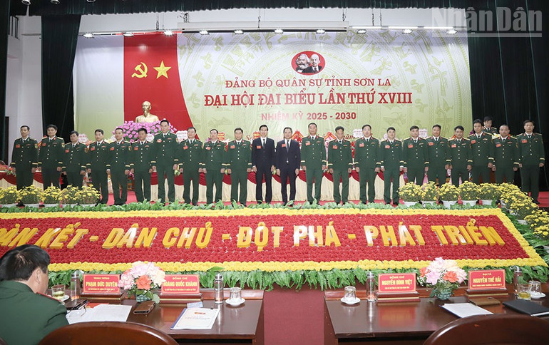 ndo_tr_22.jpg