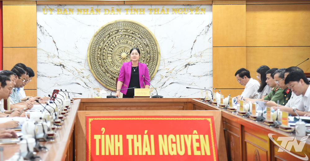 Đồng chí Phó Chủ tịch UBND tỉnh Hoàng Thu Trang phát biểu tại Hội nghị.