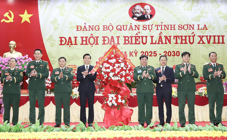 ndo_tr_8.jpg