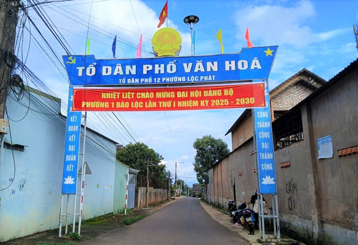 a11.jpg