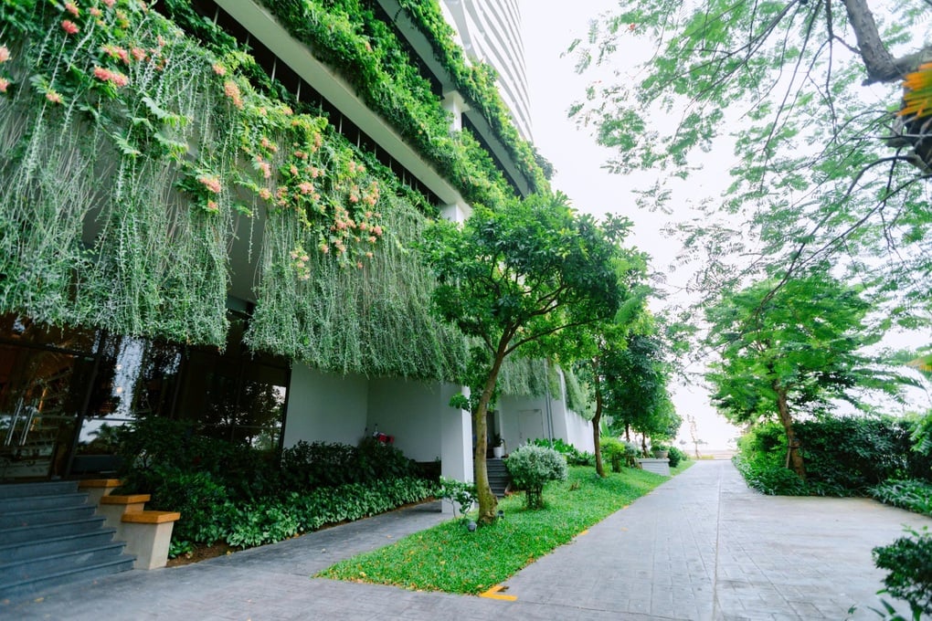 Một kỳ nghỉ ngắn, một nhịp sống mới tại Hạ Long - 4