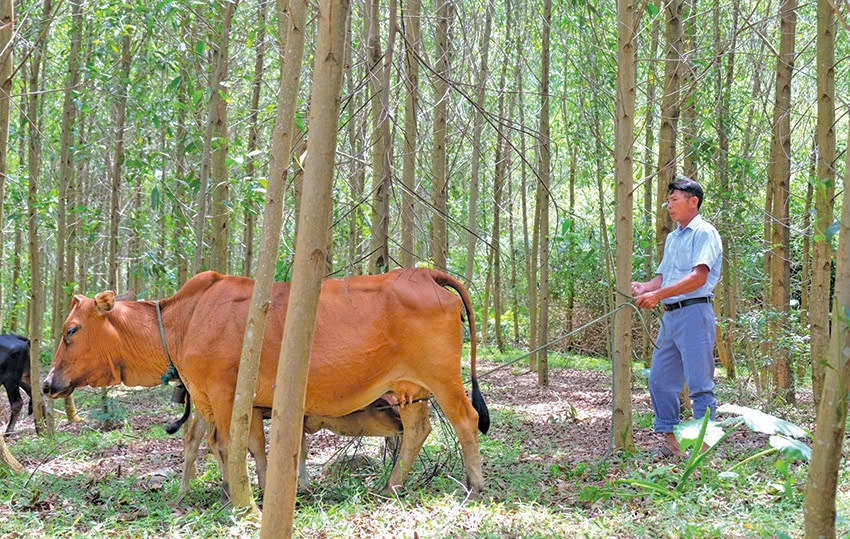Những ngọn đuốc sáng giữa đại ngàn Trường Sơn