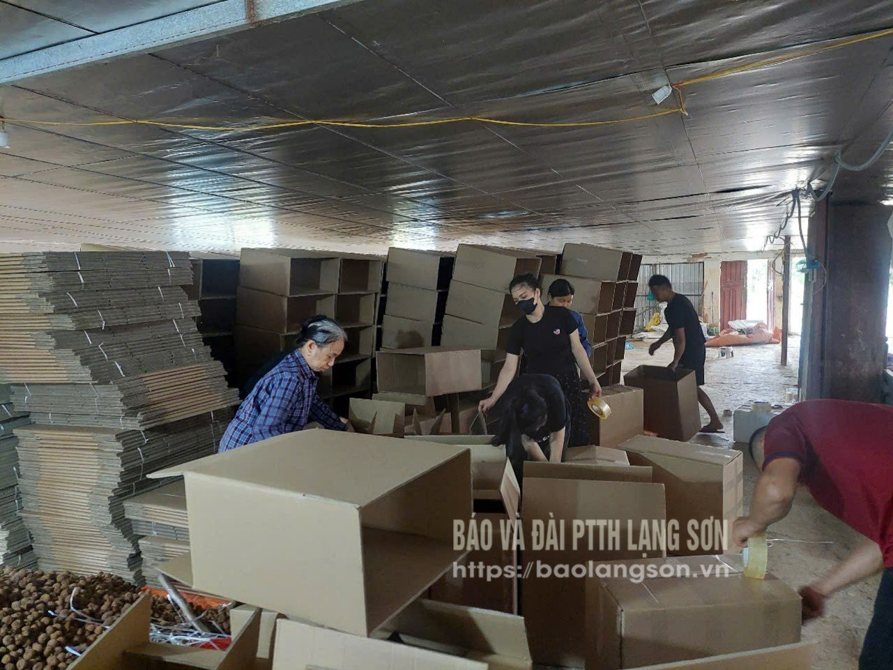 Người lao động trong HTX Thương mại, dịch vụ nông, lâm nghiệp Quang Huy, xã Chi Lăng đóng gói sản phẩm vải khô