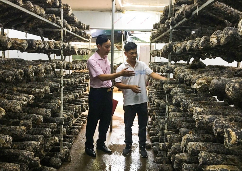 Cán bộ Ngân hàng Chính sách xã hội đồng hành cùng người dân vay vốn phát triển sản phẩm OCOP.