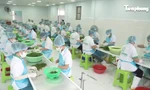 Kinh tế tư nhân - Động lực then chốt để Khánh Hòa bứt phá 