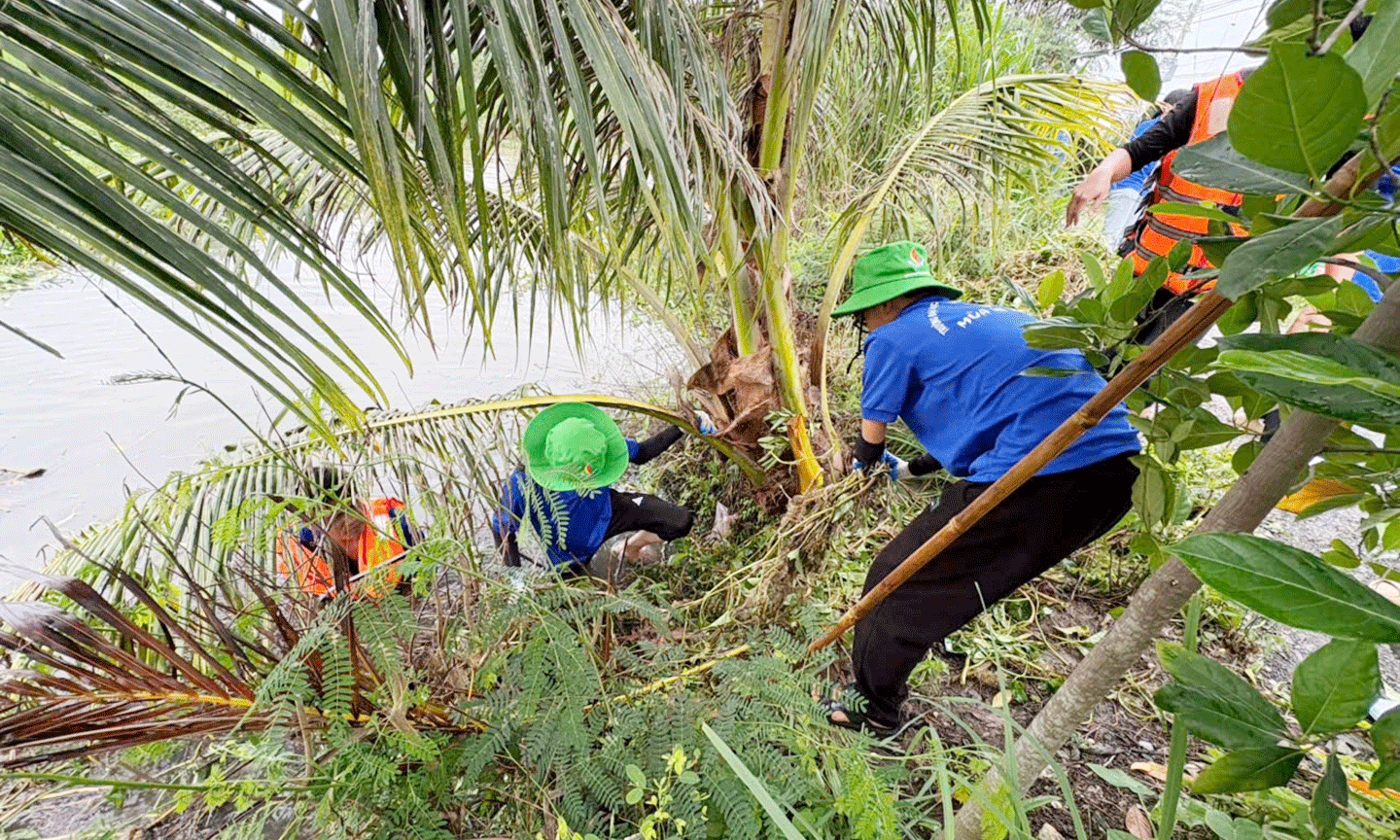 Tham gia trục vớt lục bình