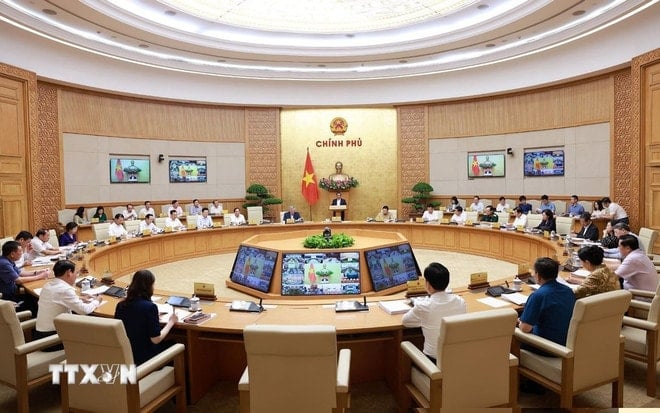 ttxvn-thu-tuong-chu-tri-phien-hop-chinh-phu-thuong-ky-thang-6-va-hoi-nghi-truc-tuyen-chinh-phu-voi-cac-dia-phuong-03-2.jpg