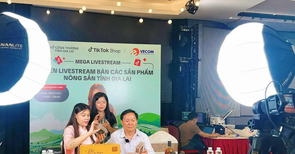 Hợp tác xã bắt nhịp thời đại số