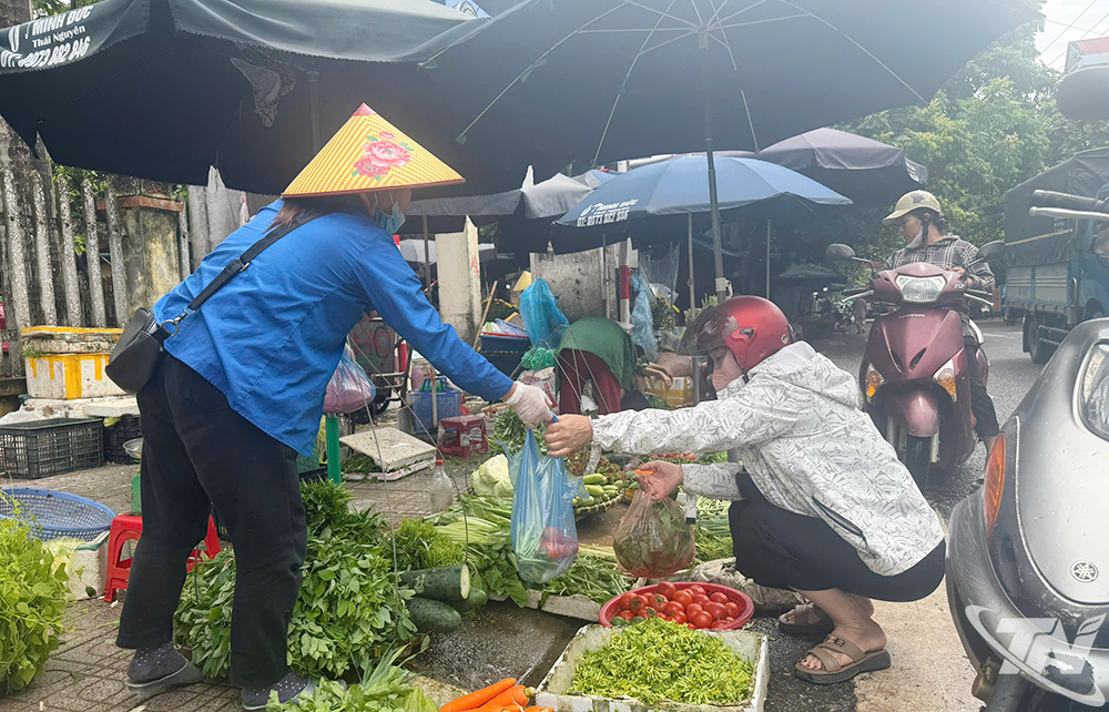តម្លៃ​បន្លែ​បៃតង​នៅ​ផ្សារ​ប្រពៃណី​ក្នុង​ខេត្ត​បាន​កើន​ឡើង​មួយ​ដង​កន្លះ ឬ​ទ្វេ​ដង​ធៀប​នឹង​ពីរ​សប្តាហ៍​មុន។