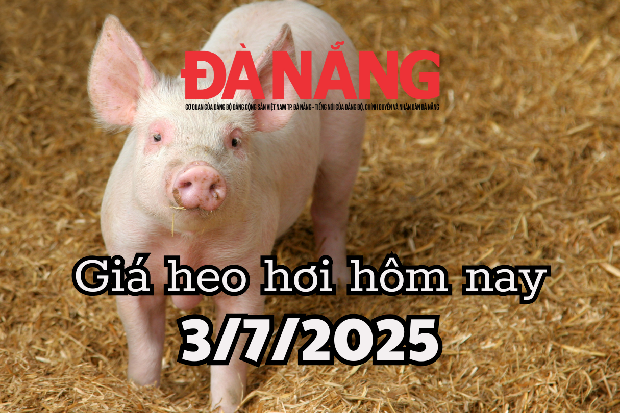 តម្លៃជ្រូកថ្ងៃនេះ 3 7 2025 ភាគខាងត្បូងឆេះ Ca Mau លើសទីក្រុងហូជីមិញ ដោយ 71,000 ដុង/គីឡូក្រាម