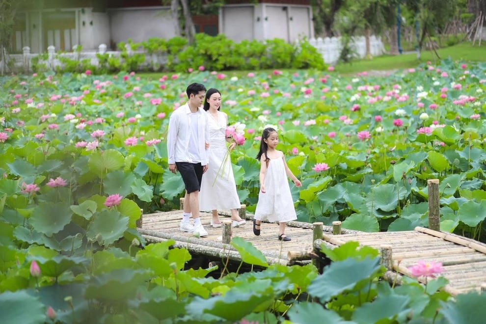 Từ 4/7, Hạ Long bắn pháo hoa mỗi tối thứ sáu, thứ bảy tại “Vịnh Pháo Hoa” - 4