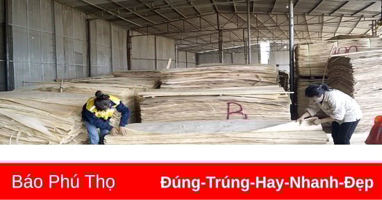 Phát huy tiềm năng của ngành nghề nông thôn