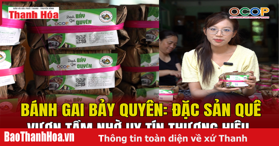 [REVIEW OCOP] Bánh gai Bảy Quyên: Đặc sản quê vươn tầm nhờ uy tín thương hiệu