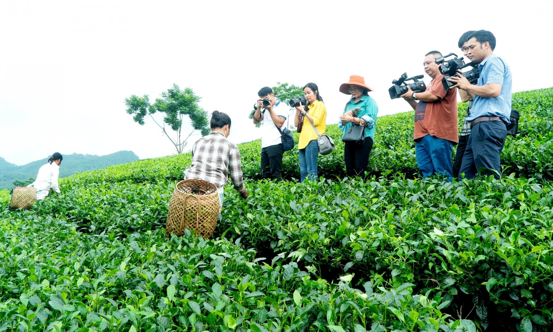 Các phóng viên tác nghiệp tại cơ sở (ảnh: T.L)
