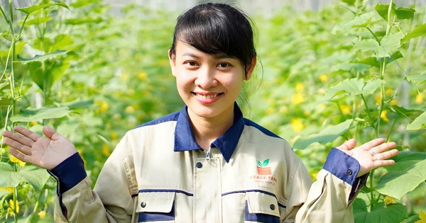 Muốn khởi nghiệp thành công, phải dám đương đầu với thất bại