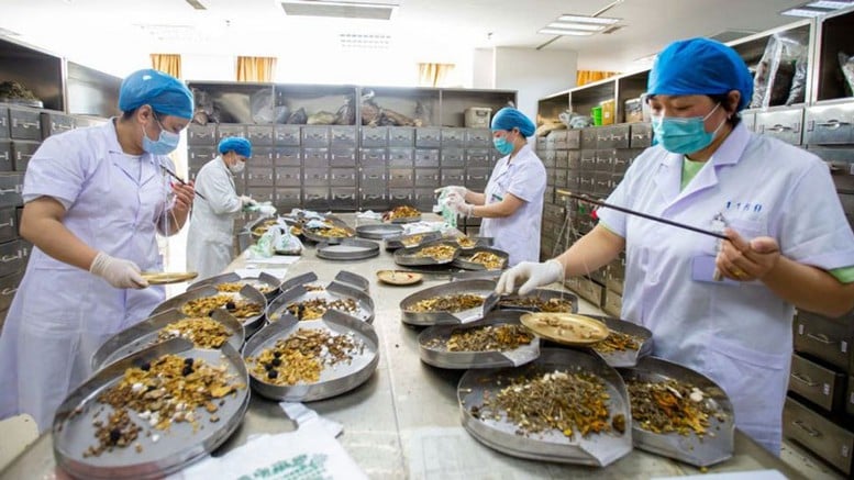 Quy định về đăng ký lưu hành thuốc cổ truyền, dược liệu- Ảnh 1.