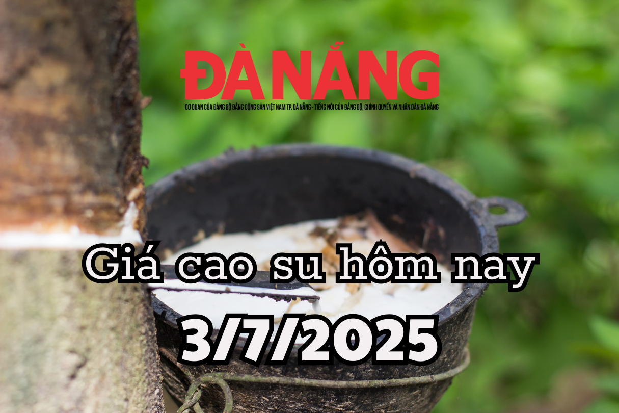 Giá cao su hôm nay 3 7 2025 Tocom-SGX tăng vọt, Mang Yang một mình một chiều