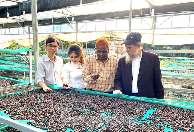 Cầu nối giúp nông dân làm kinh tế kiểu mới ảnh 3
